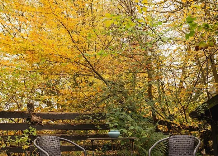 Romantische, Alte Wassermuehle Apartamento